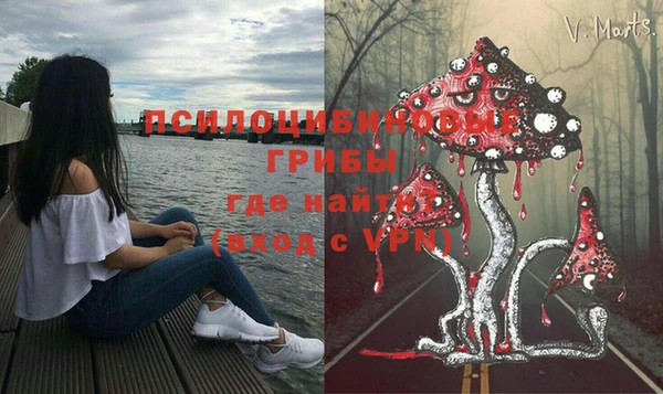 синтетический гашиш Белокуриха