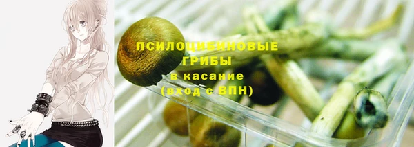 синтетический гашиш Белокуриха