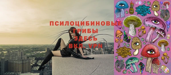 синтетический гашиш Белокуриха
