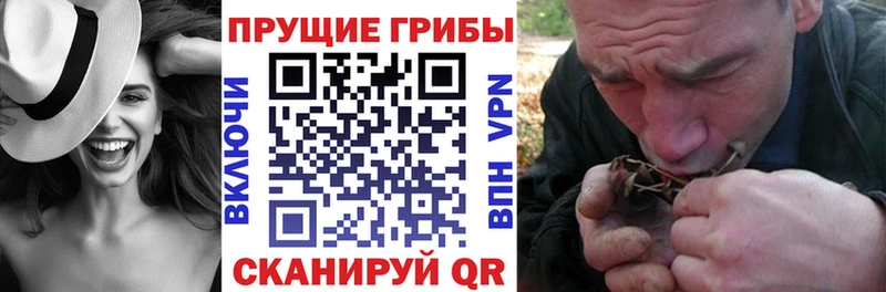 купить наркотики цена  Макаров  Галлюциногенные грибы MAGIC MUSHROOMS 